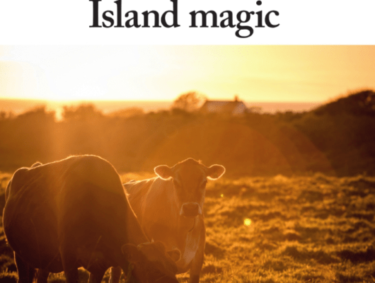 Country Life produce their 2017 Jersey supplement; ‘Island Magic’